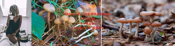 не бодяженный Армянск
