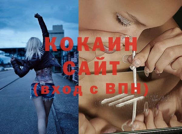 дмт Аркадак