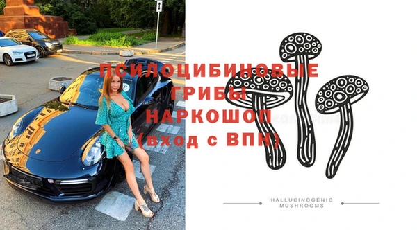 СК Арсеньев