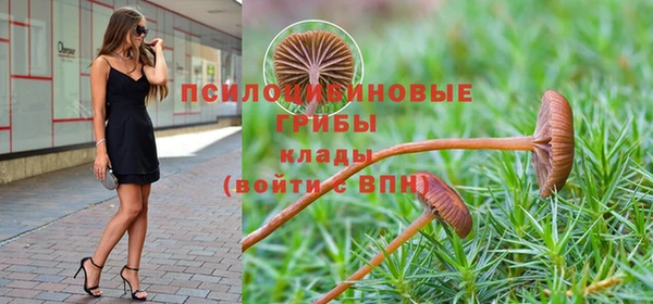 не бодяженный Армянск