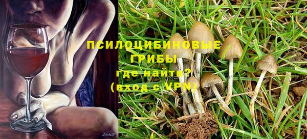 дмт Аркадак