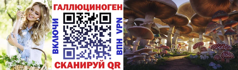 Псилоцибиновые грибы Cubensis как найти закладки Пыть-Ях